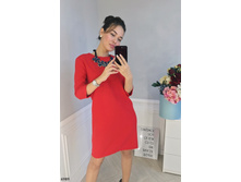 Plate-6989.jpg  1295���