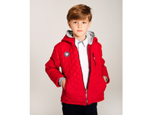 ���. ����