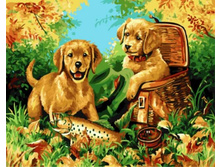 Gx5619 40�50 348 �.jpg