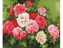 Lzg016 ��� ���������� 838 �.jpg