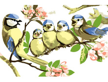 Mc1017 20�30 ���� 240 � �������.jpg