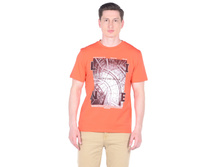 3582 ������.jpg