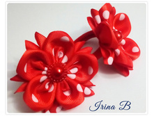 ������� No61 ������� ������� � �������