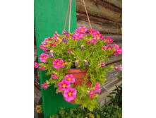 IMG 20180824 074825.jpg