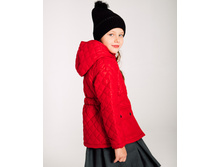 ���. ����