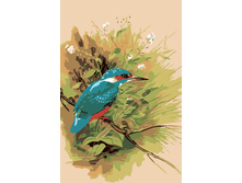 Mc1019 20�30 ���� 240 � �������.jpg