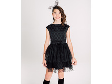 ���. ����