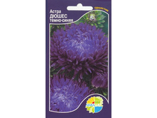 ����� ����� �����-�����