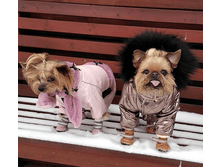 IMG 20181229 111939.png