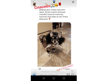 Screenshot 20190123-132632.png