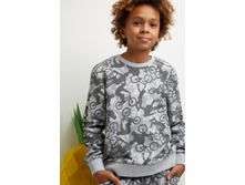 20110100170   Patison   �������.jpg