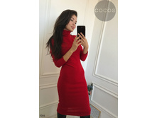 Plate-5201.jpg  845���