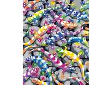 Ex5012 30�40 ���� 295 �.jpg