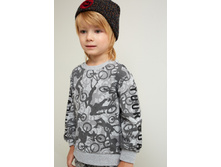 20120100181   Patison   �������(������).jpg