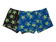 80314 ����� ������� 95% �-�, 5%�������=160