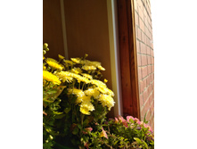 IMG 20180920 114340.jpg