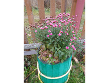 IMG 20181026 150146.jpg