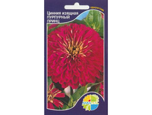 ������ ������� ��������� �����