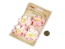 SCB300106 �������� 5 �� 4 �� №06 ������� ����