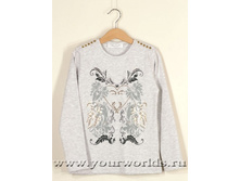 122 ����, 342 ���