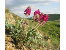 ��������� �����������������.jpg