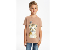 10120110012 ������-����������.jpg