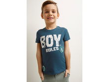 20120110174   Tesla   �����-�������.jpg