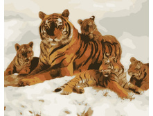 Mg6075 40�50 465 � �������.jpg