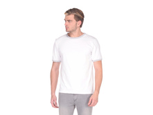 3585 �����.jpg