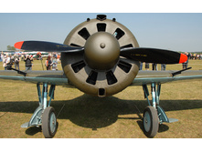 90d13cf055.jpg