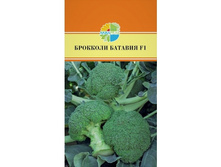 ������� �������� ������� F1