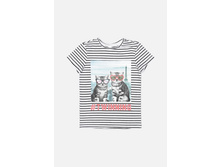 20210110163   Vaenga   ������ � �������(���).jpg