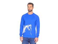 3920 �������.jpg