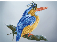 P14 30�40 ���� 646 �.jpg