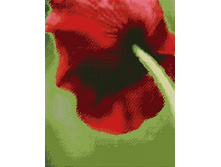 A134 50�40 ���� 550 �.jpg