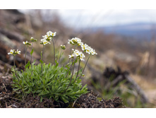 ��������� ������.jpg