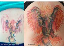 ����������