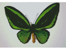 Ci-013 30�40 ���� 550 �.jpg