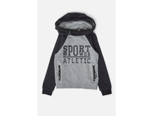 20110100168   Ledger   �����(���).jpg