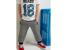 20120160199   Radcliffe   �����(������).jpg