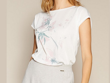 Zaps NONDI ������ 1610�.jpg