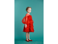 ���. ����