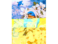 Gx8180 40�50 348 �.jpg