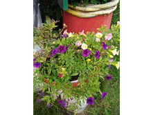 IMG 20180902 152750.jpg