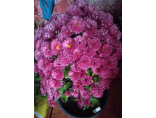 IMG 20181015 093026.jpg