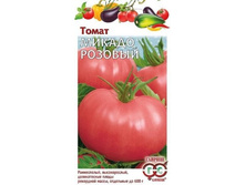 ����� ������ �������