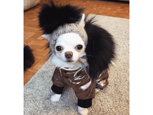 IMG 20181217 081921.png