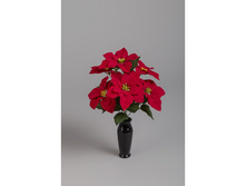 ����� ��������� ������ �36 (������ 50, ����� 4) ���� 200 ���