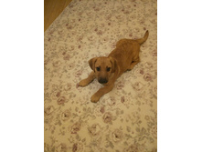 1548263576954 flyme1.jpg