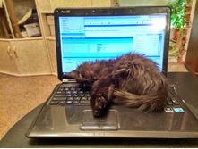 ���-�������� �� ������� �����